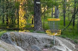 Discgolf 